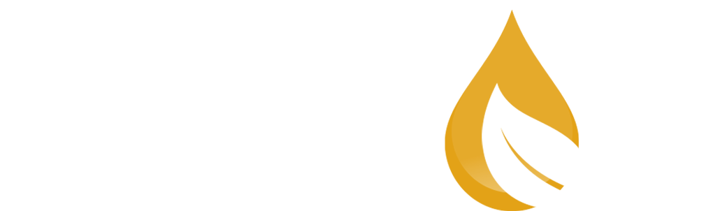 logo4.png